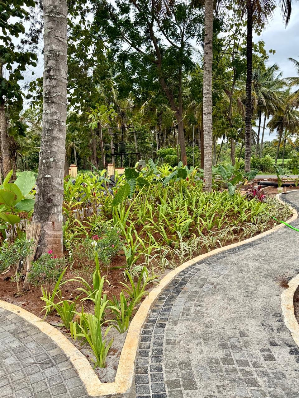 Glowridge garden project