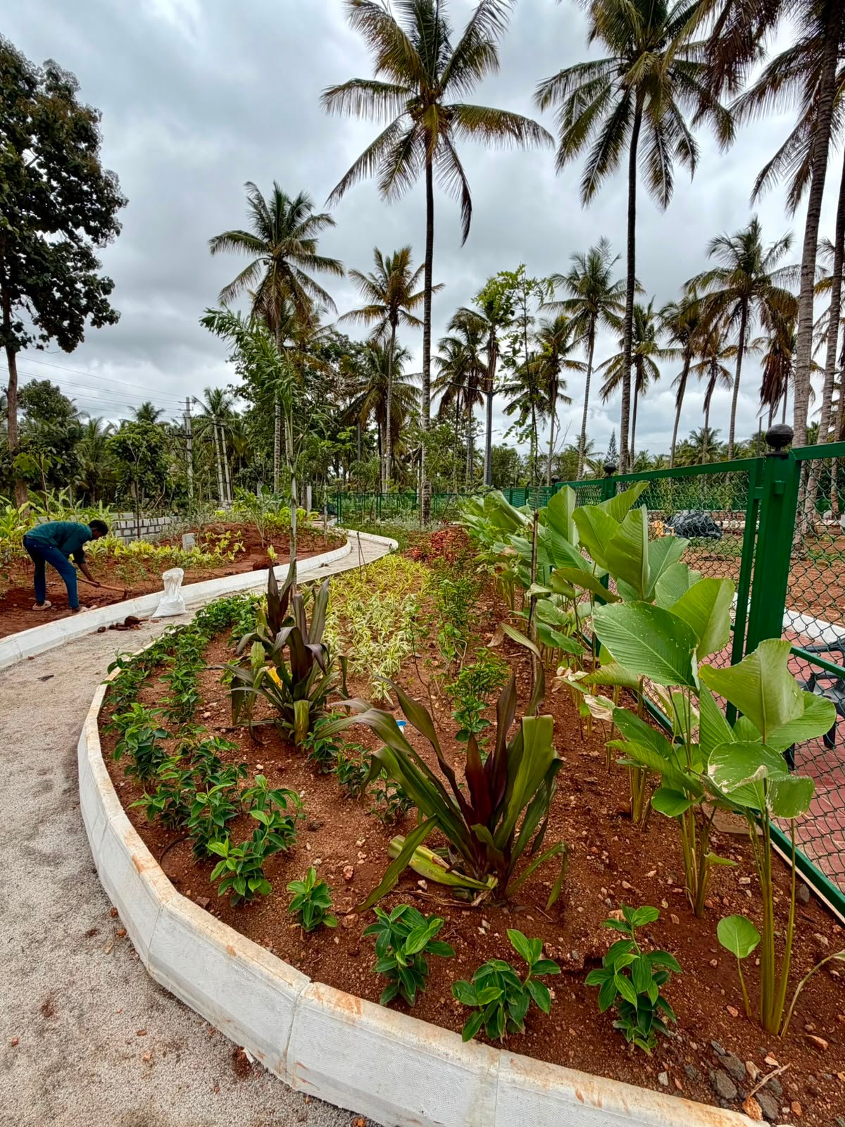 Glowridge garden project