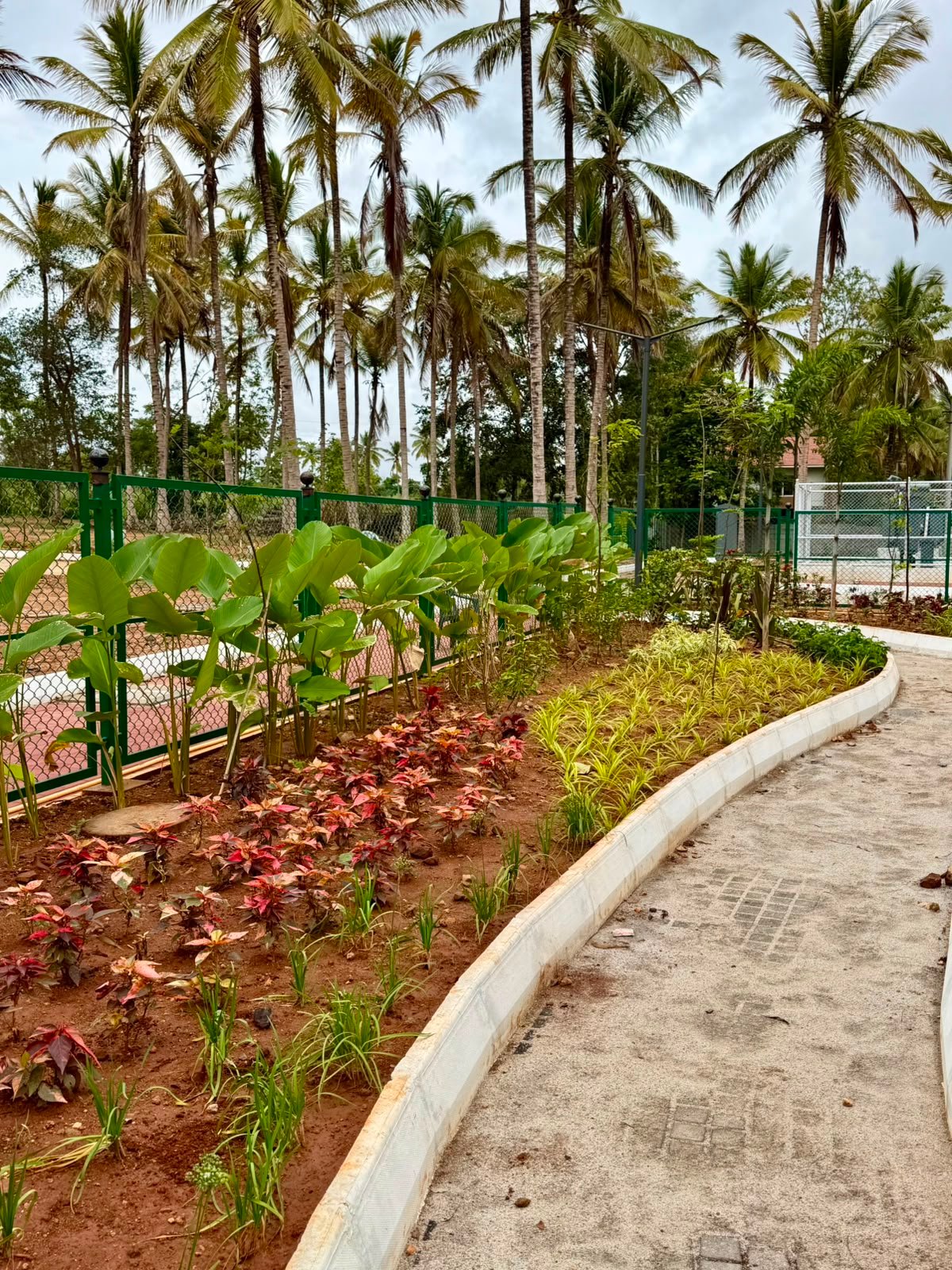 Glowridge garden project