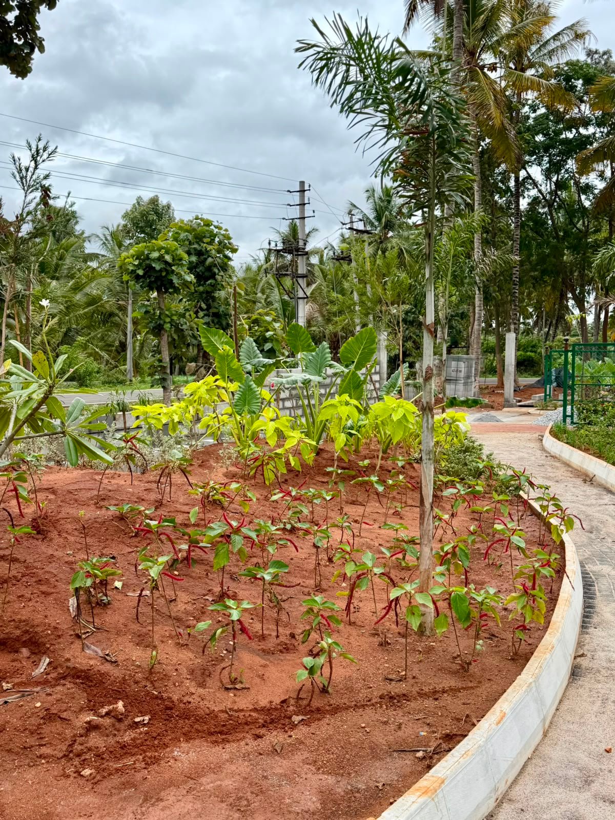 Glowridge garden project